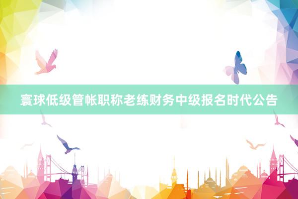 寰球低级管帐职称老练财务中级报名时代公告